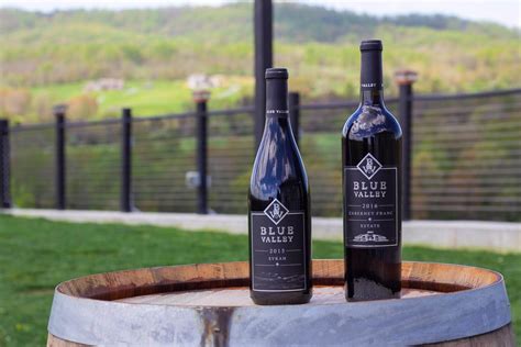 Top Rated Wine Tasting In Northern Virginia Blue Valley Vineyard