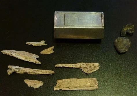 Remains Of Early Colonial Jamestown Leaders Are Identified