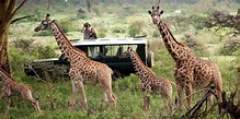 Top 5 Best Safari Spots In Africa - Welgrow Travels Blog