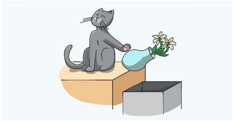 Are Easter Lilies Poisonous To Cats The Cat Hospital