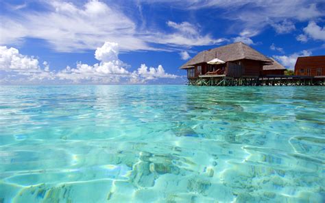Must Visit Maldives This Holiday Season The Wow Style