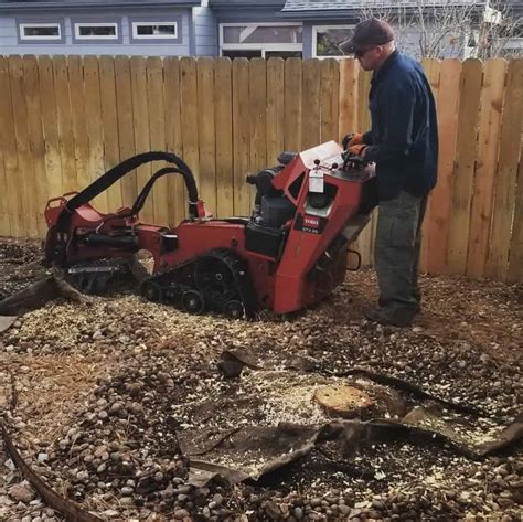 From pruning to stump grinding, we do it all. Stump grinding - Powder Country