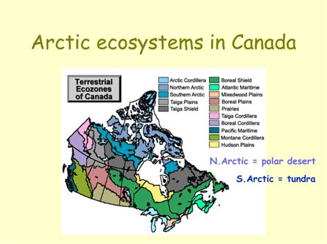 Ppt Polar Ecosystems Powerpoint Presentation Free Download Id4600505