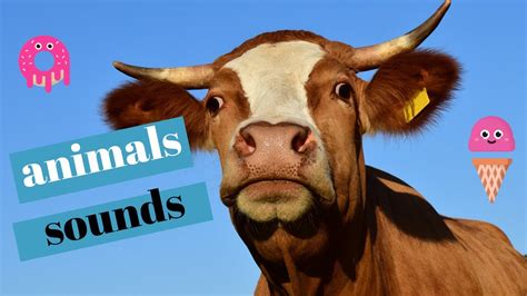 Farm Animals Sounds For Children To Learn 2020 Youtube