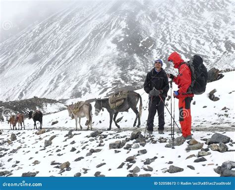 Himalayan Expedition Passing Thorong La Pass Nepal Stock Image