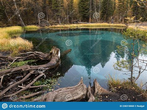 Landscape With A Transparent Turquoise Mountain Lake In The Forest In