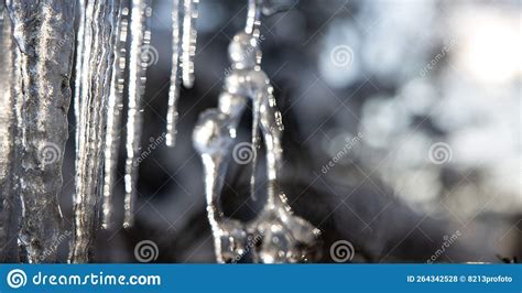 Icicles And A Drop Of Melt Water Close Up Snow Melting Stock Photo