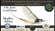 Mayflies adultas . Clase de atado en vivo dictadas por Ruben Martin ...