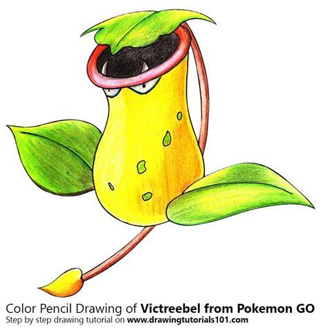 Victreebel From Pokemon Go Colored Pencils Drawing Victreebel From