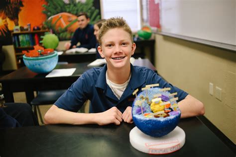 Animal cell model project 7th grade. 7th Grade Cell Project | Brook Hill School | Tyler, TX