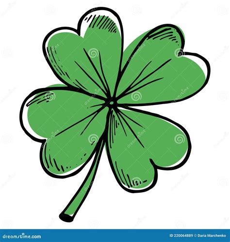 Clover Sketch Illustration Hand Drawn Three Leaf Clover Vector