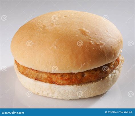 Plain Burger Stock Photo Image Of Poor Food Burger 3152266