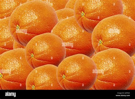 Orange Citrus Sinensis Fruits Stock Photo Alamy