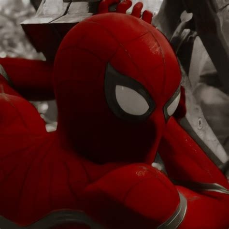 Spiderman Icon Marvel Universe Marvel