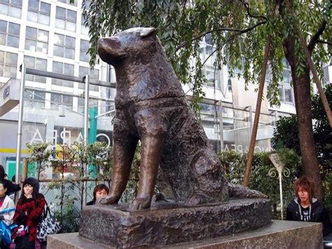 The Station Entrance Near This Statue Is Named Hachikō Guchi Meaning