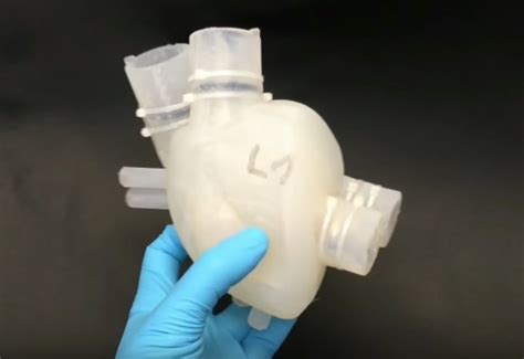 Researchers 3d Print A Soft Artificial Heart That Works A Lot Like A