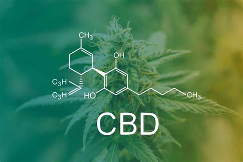 What Are The Different Cbd Compounds And Their Proven Health Benefits