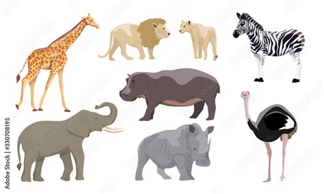 African Animals Set Elephant Lion And Lioness Zebra Ostrich Hippo