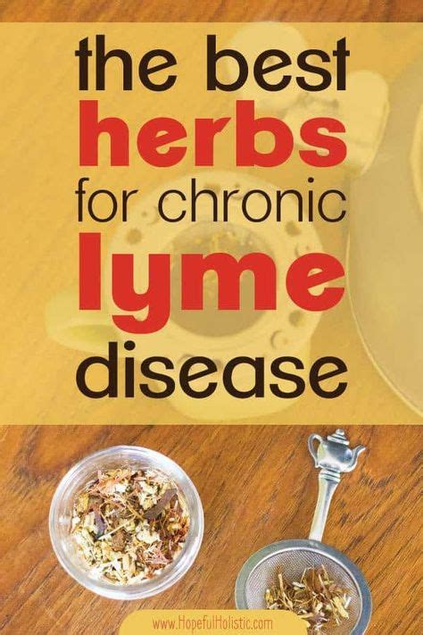 10 Extraordinary Herbs For Lyme Disease Recipe In 2020 Cold Home