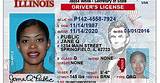 Renew Michigan Drivers License Out Of State