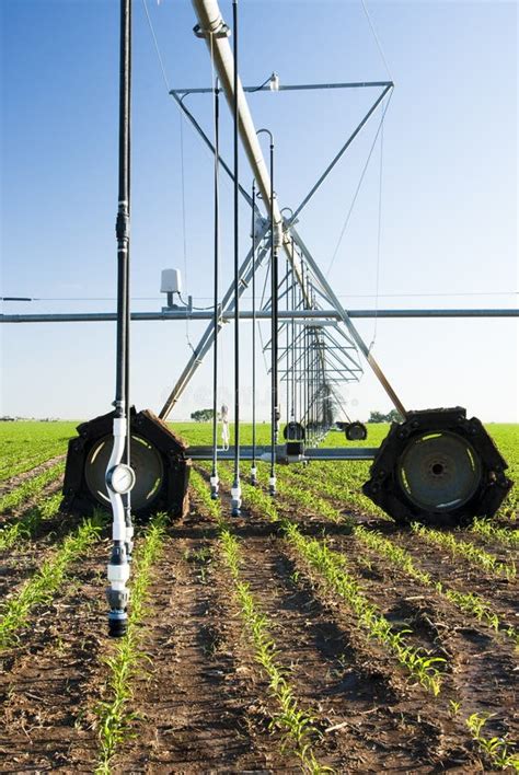 Center Pivot Irrigation System Stock Photo Image Of Growing