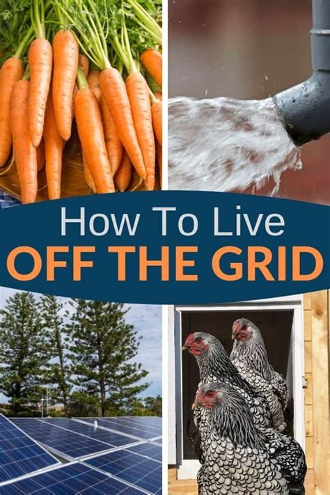 Living Off The Grid Guide For Beginners Survival Food Natural Health