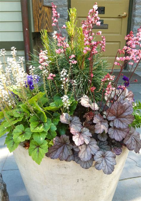 Beautiful Spring Container Plantings From Terrain And