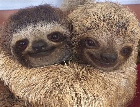 So are you two seeing each other, or what? The Many Ways to Say "I Love You" | A Cup of Jo