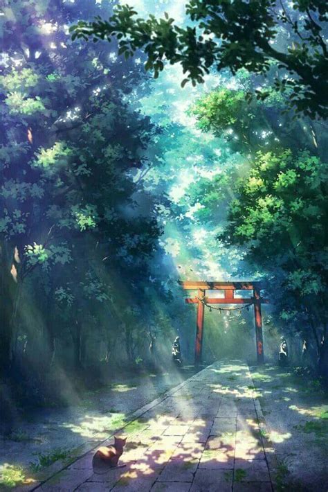Pin by אני רותם on דברים יפים | Anime scenery wallpaper ...