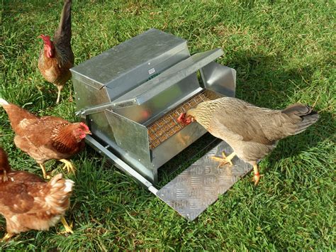 Grandpas Feeders Automatic Chicken Feeder Sturdy Galvanized Steel