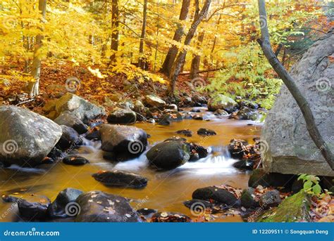 Autumn Creek With Trees And Rocks Stock Image Image 12209511