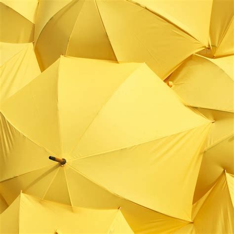 900 Yellow Background Images Download Hd Backgrounds On Unsplash