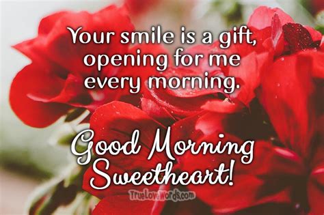 Good Morning Lovely Flower And Quotes For My Beloved Wife Best Flower