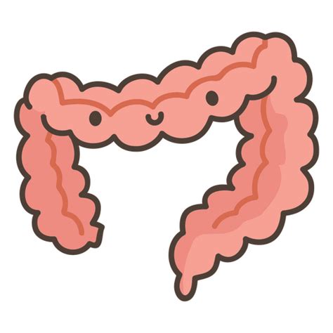 Human Body Intestine Organ Png And Svg Design For T Shirts