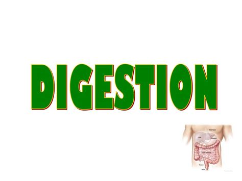 Ppt Digestion Powerpoint Presentation Free Download Id5416460