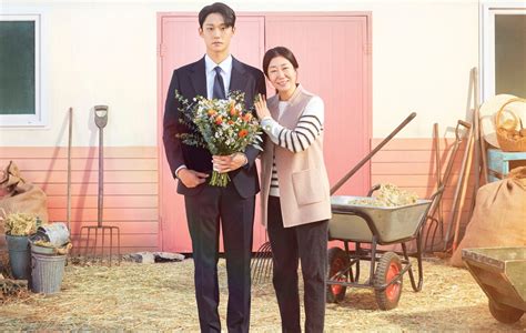 Netflix K Drama Series The Good Bad Mother Starring Lee Do Hyun Mixes