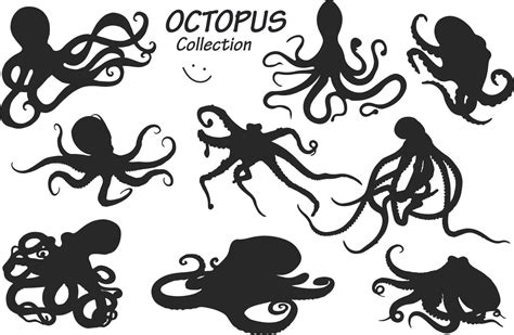Octopus Silhouettes Collection 11816377 Vector Art At Vecteezy
