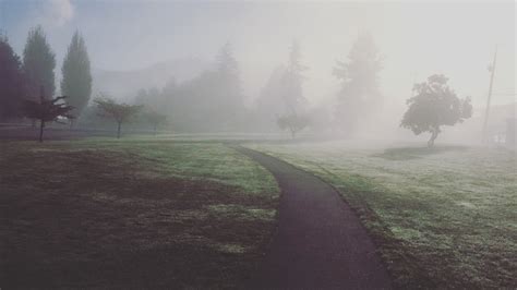 Iphone Photography In The Fog Burnaby Bc Jaden Nyberg Photography