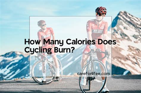 how many calories does cycling burn 2024