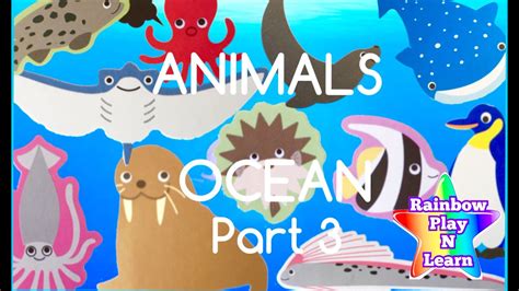 Learn Sea Animals And Water Animals Names And Sounds Real