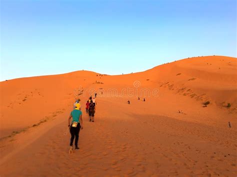 Arab Man Climbing A Desert Dune On The Desert Editorial Stock Photo