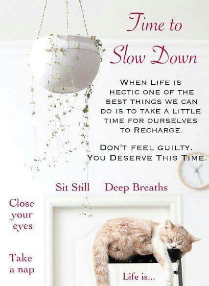 Time To Slow Down Good Morning Quotes Nap Life Morning Quotes
