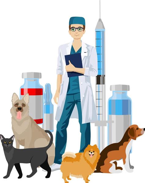Pet Veterinarian Veterinary Doctor Checking And Treating Animals Idea