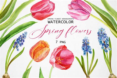 Spring Flowers Watercolor 424352 Illustrations Design Bundles