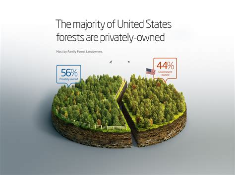 Forestry 3d Infographics On Behance