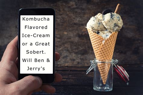 Kombucha Inspired Ice Cream Happy Herbalist