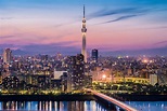 Skytree in Tokio, Japan | Franks Travelbox