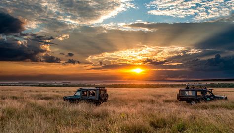 Horizon Sky Safari Africa Sunset Wallpapers Hd Desktop And Mobile