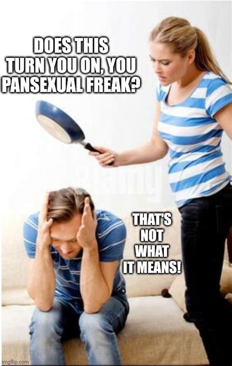 Defining Pansexual Imgflip