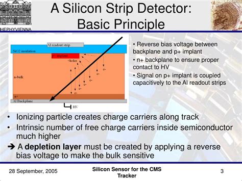 Ppt The Silicon Sensors For The Inner Tracker Of Cms Powerpoint